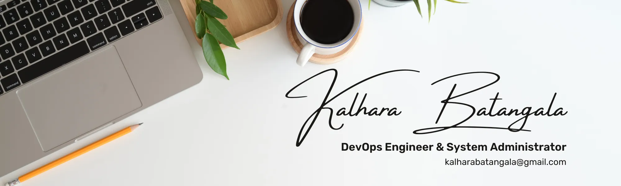 Portfolio Banner